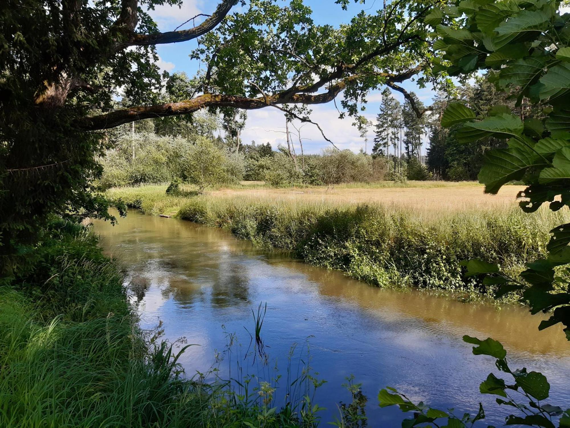 U Lekninu Villa Doksy  Exteriör bild